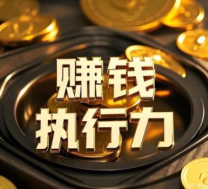 靖光通：赚钱需要执行力！插图